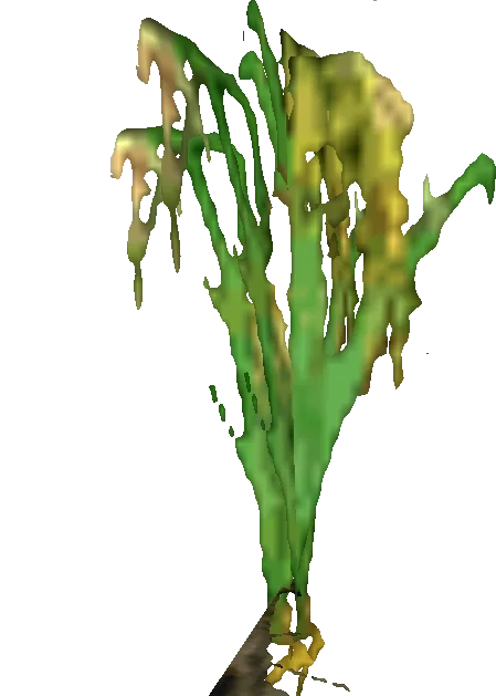 bagiennne ziele w gothic ikona e1760894766125 1